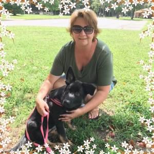 Meet your Posher, Shelby